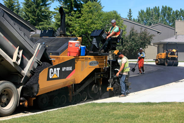 Best Custom Driveway Pavers  in Mount Rainier, MD