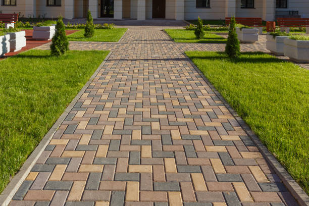 Best Driveway Pavers Near Me  in Mount Rainier, MD